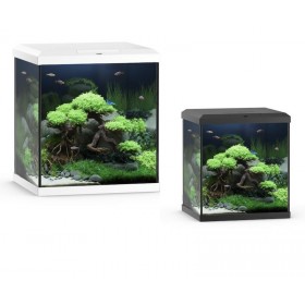 Aquarium Juwel Vio Cube