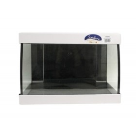 Cuve d'aquarium bombée Scalare 30 L