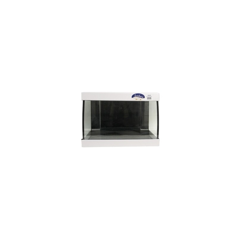 Cuve d'aquarium bombée Scalare 30 L