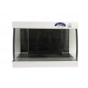 Cuve d'aquarium bombée Scalare 30 L