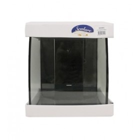 Cuve d'aquarium bombée Scalare 19 L