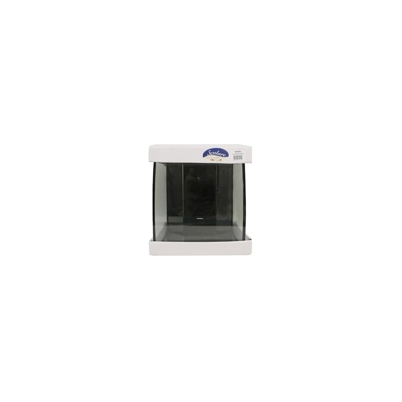 Cuve d'aquarium bombée Scalare 19 L