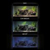 Eclairage aquarium optiset