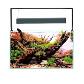 Aquarium UltraScape 60 Forest