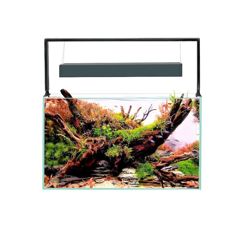 Aquarium UltraScape 60 Forest