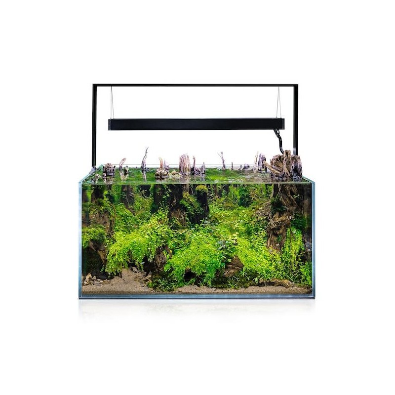 Aquarium ULTRASCAPE 90 Forest