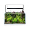 Aquarium ULTRASCAPE 90 Forest