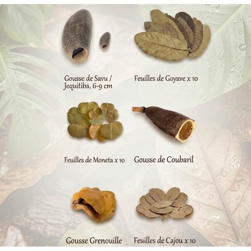 Kit litière naturelle - 100 % Amazonie