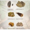 Kit litière naturelle - 100 % Amazonie