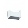 Cuve nue aquarium Scalare