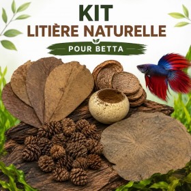 Kit litière naturelle pour Betta