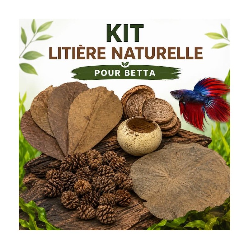 Kit litière naturelle pour Betta