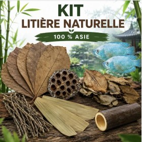 Kit litière naturelle 100 % Asie