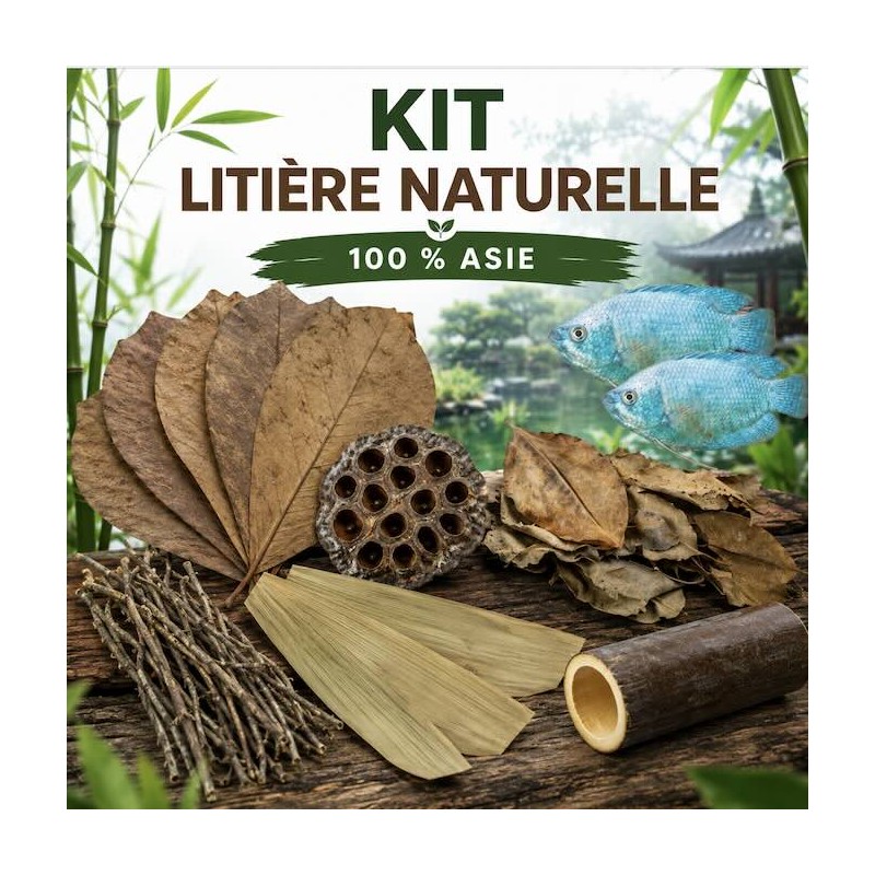 Kit litière naturelle 100 % Asie