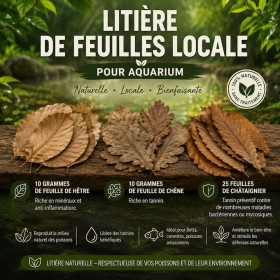 Litière de feuilles locale