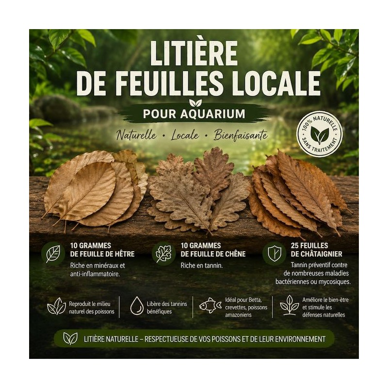Litière de feuilles locale