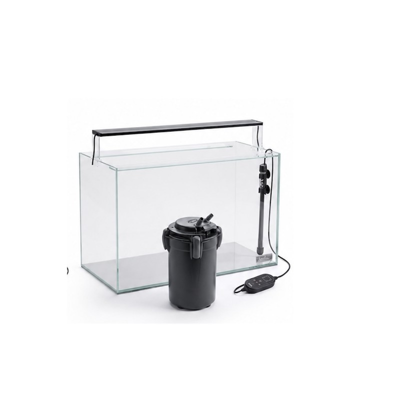 Pack aquarium 240 L équipé