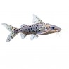 Pimelodus pictus