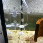 Incubateur poissons et crevettes