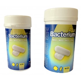 Bacterium E plus 20