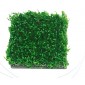 support mousse aquarium