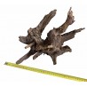 Racine Horn wood 20 - 40 cm