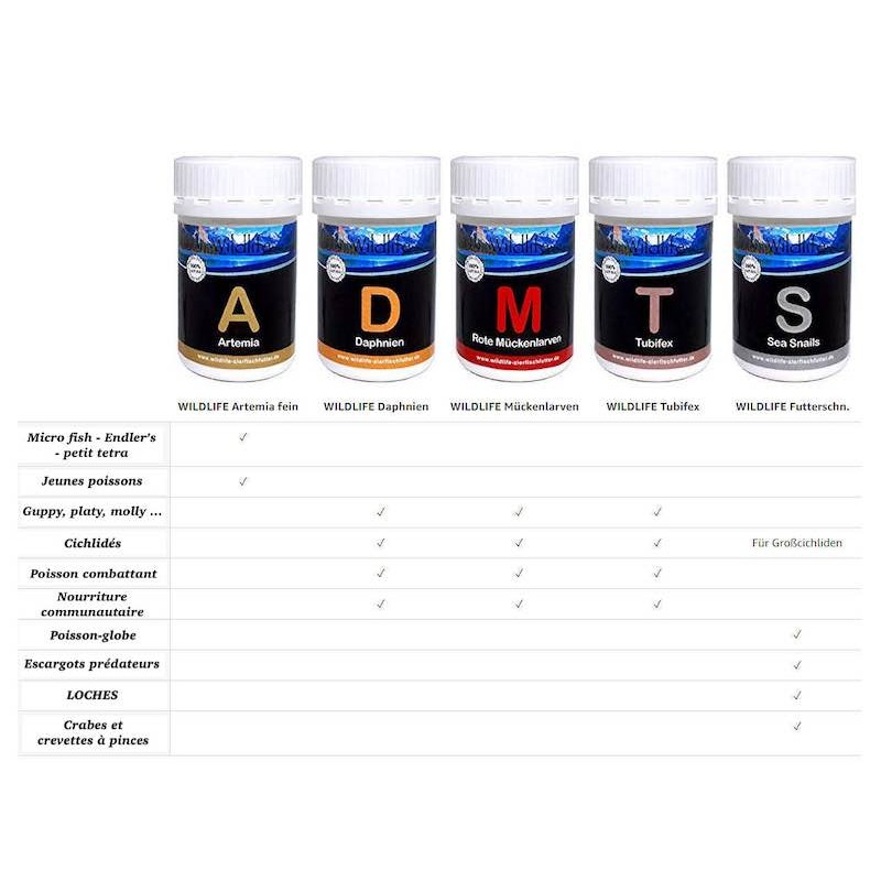 Vers de vase rouge lyophilisés pour poisson d'aquarium