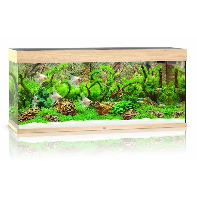 Aquarium Juwel rio 240 bois clair