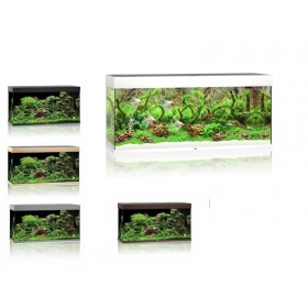 Aquarium Juwel Rio 240 Led