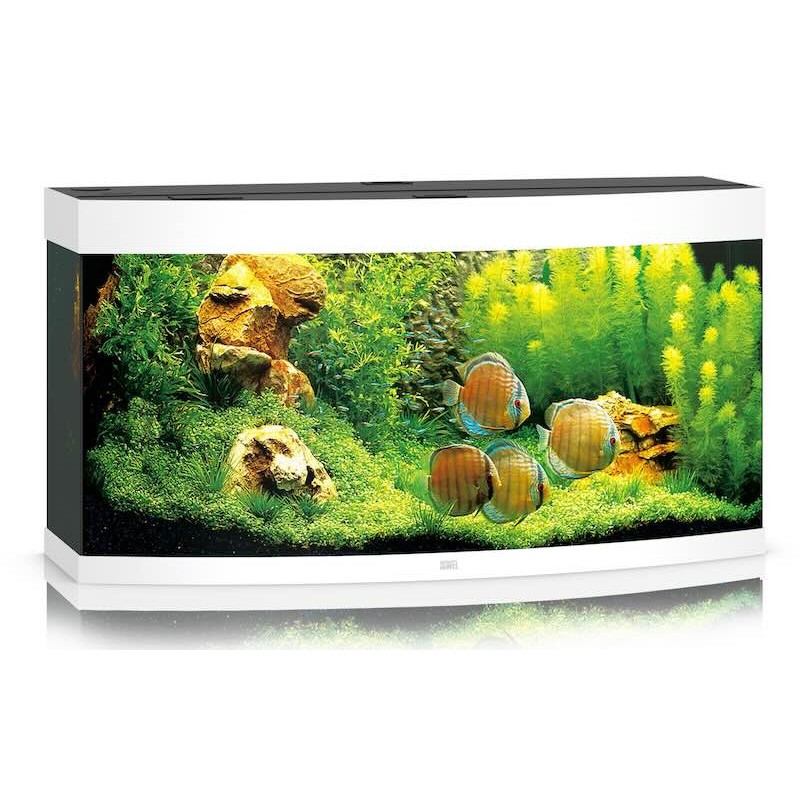 Aquarium juwel vision 260 blanc