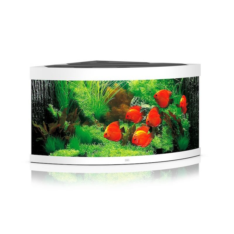 Aquarium Juwel Trigon 350 blanc