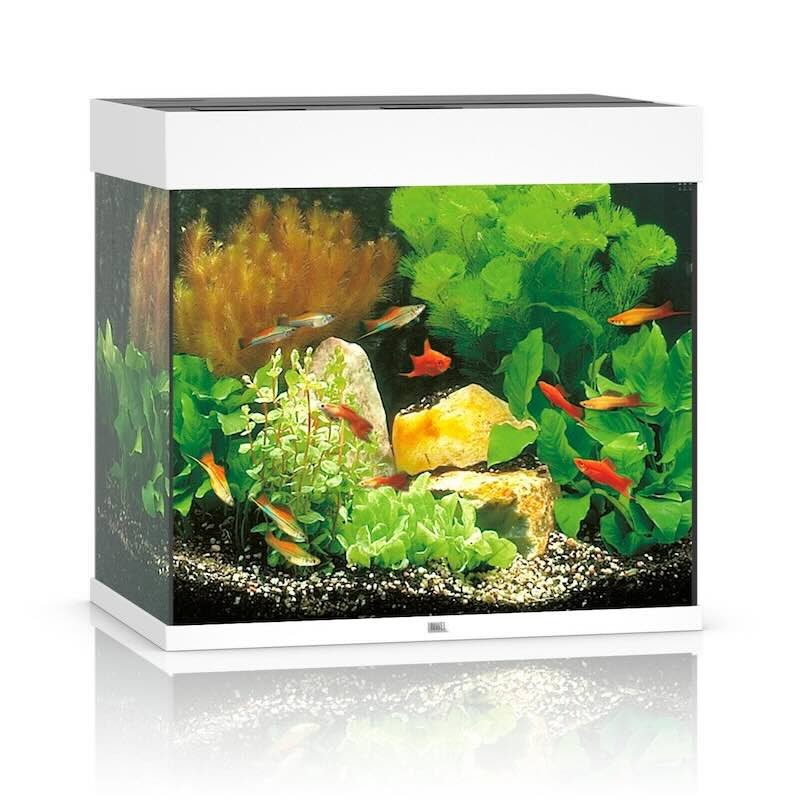 Aquarium Juwel lido 120 blanc