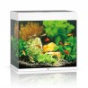 Aquarium Juwel lido 120 blanc