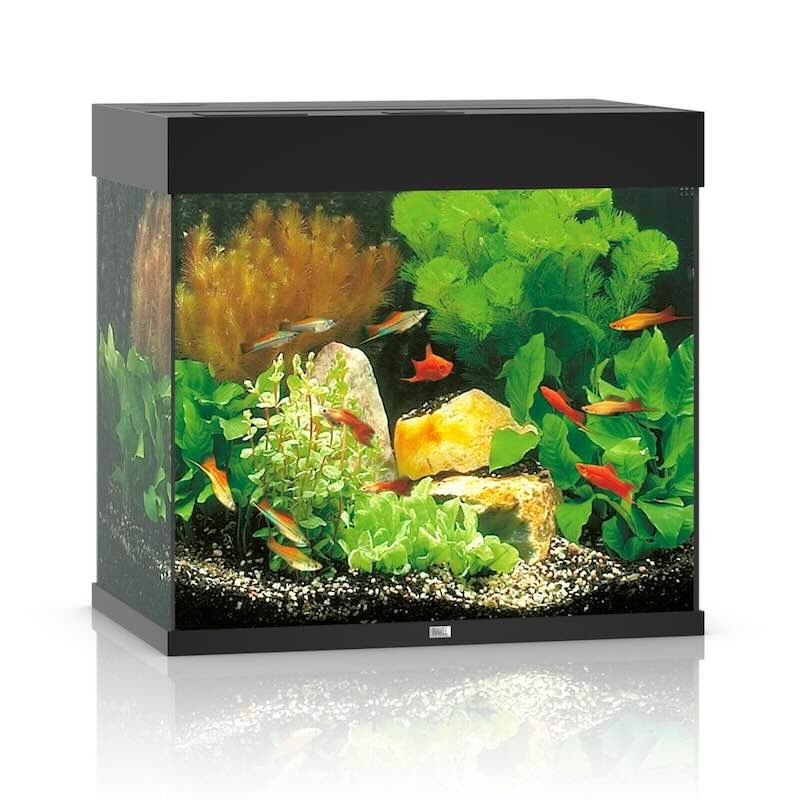 Aquarium Juwel lido 120 noir