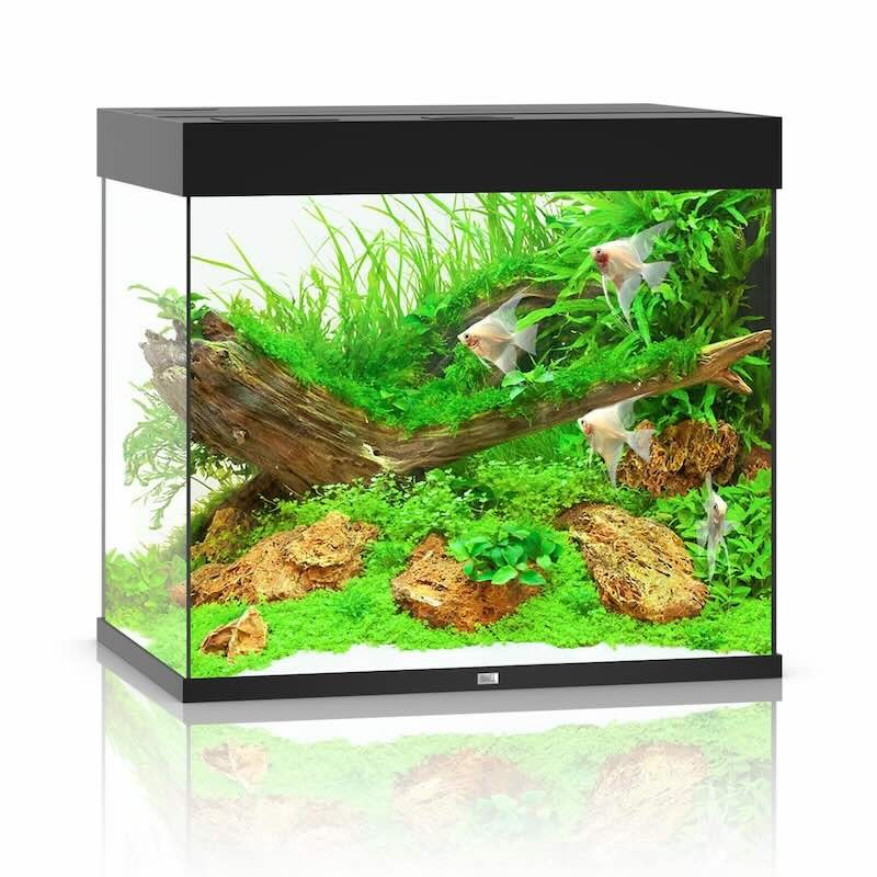 Aquarium Juwel lido 200 noir