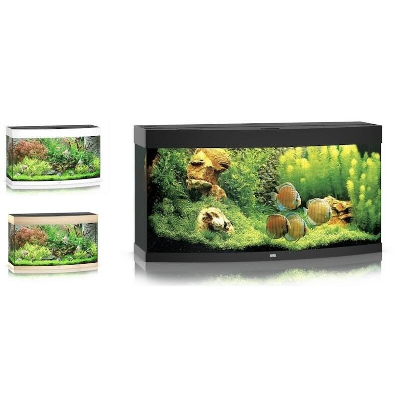 Aquarium Juwel Vision 260 Led vitre bombée panoramique