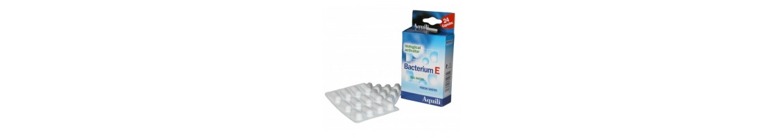 Bactéries vivantes