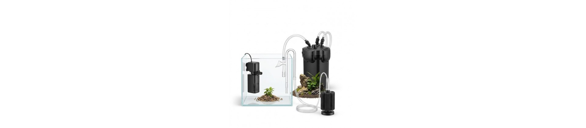 Filtration aquarium