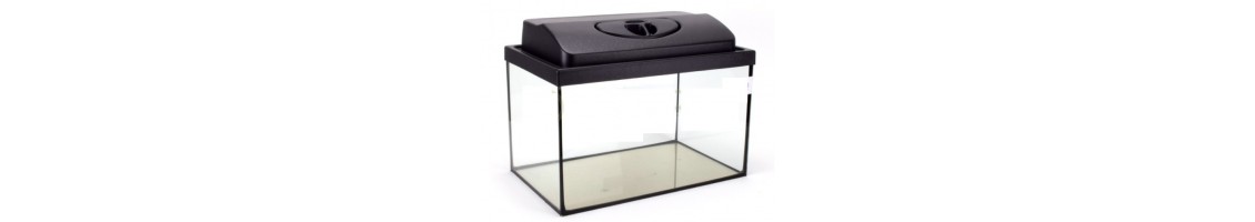 Aquarium