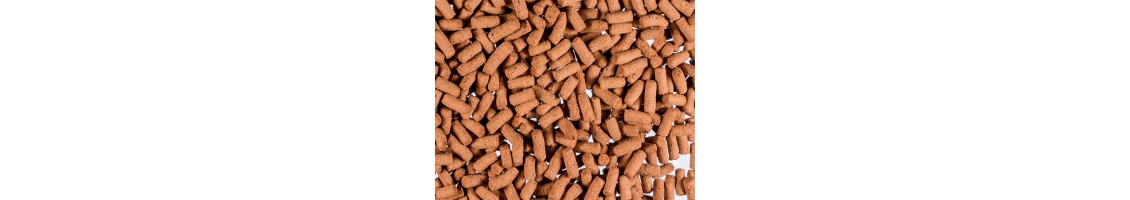 Nourriture pour Cichlidés