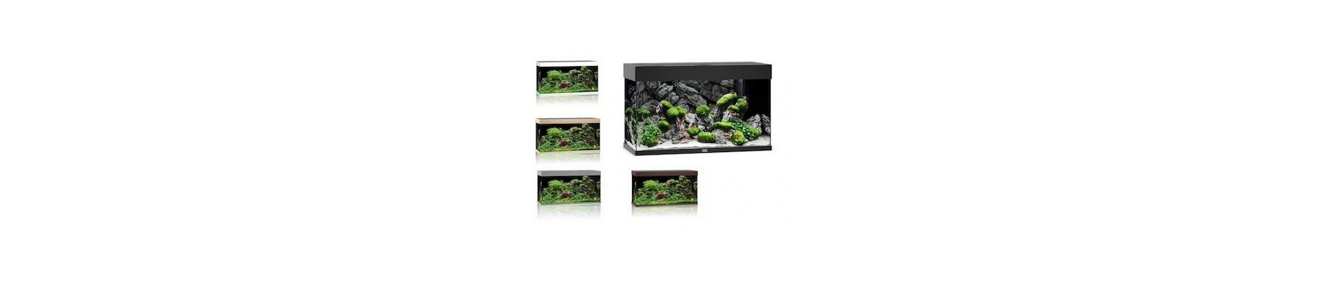 Aquariums Juwel