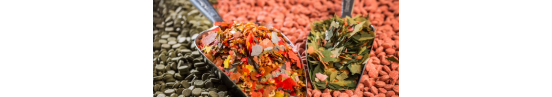Alimentation pour poissons d'aquarium