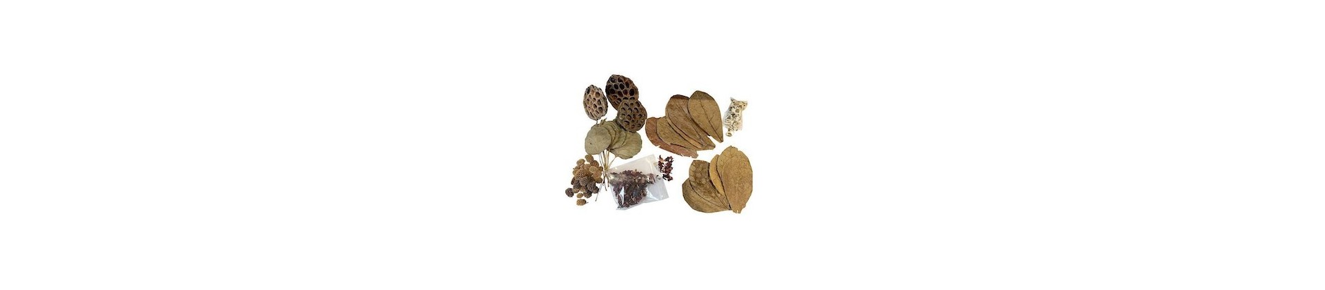 Produits naturels