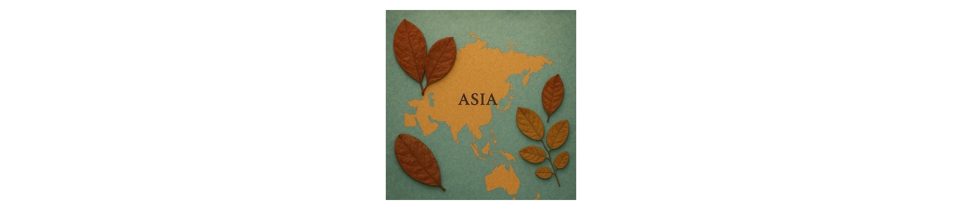 Feuilles pour biotope Asiatique