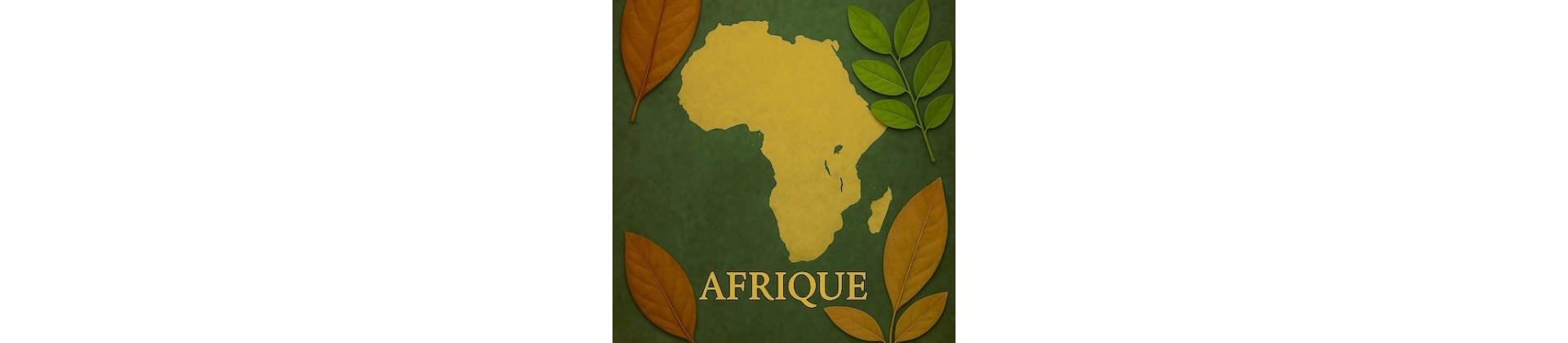 Feuilles pour biotope Africain