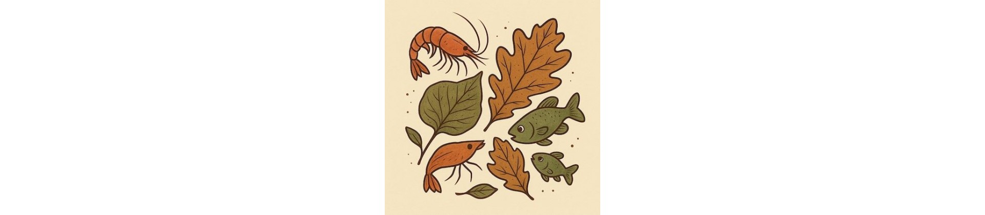 Feuilles à usage alimentaire