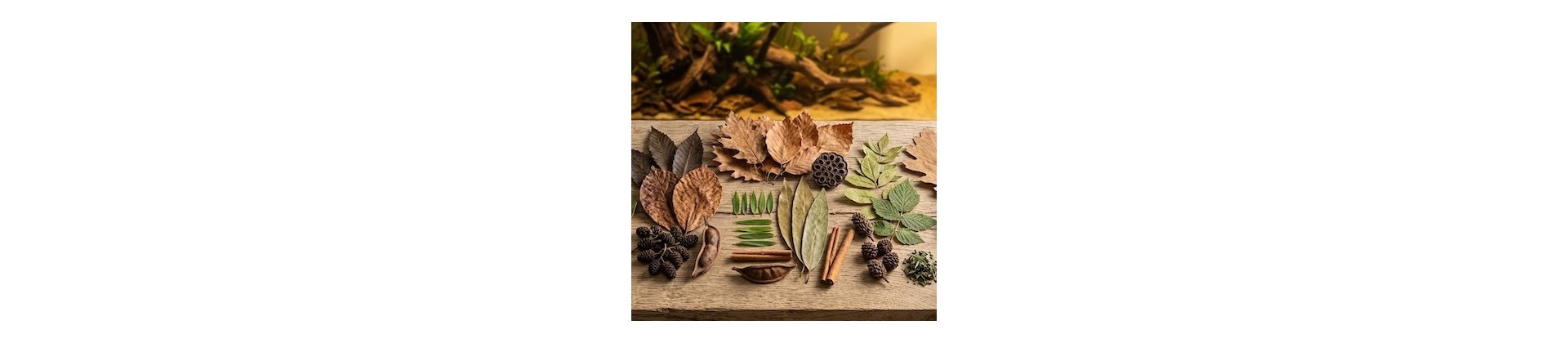 Kits litières et biotopes
