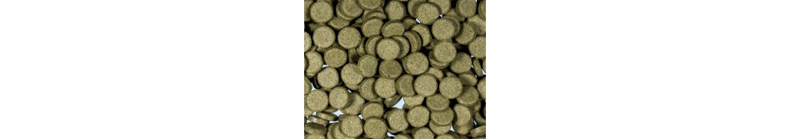 Nourriture pour poissons de fond