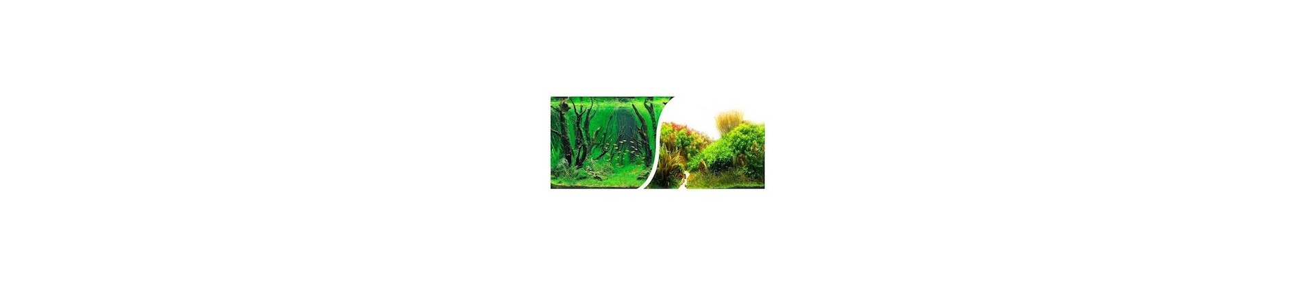 Posters d'aquarium