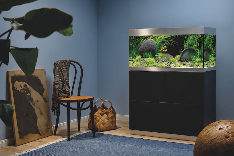 ambiance Aquarium OASE HighLine 200 noir